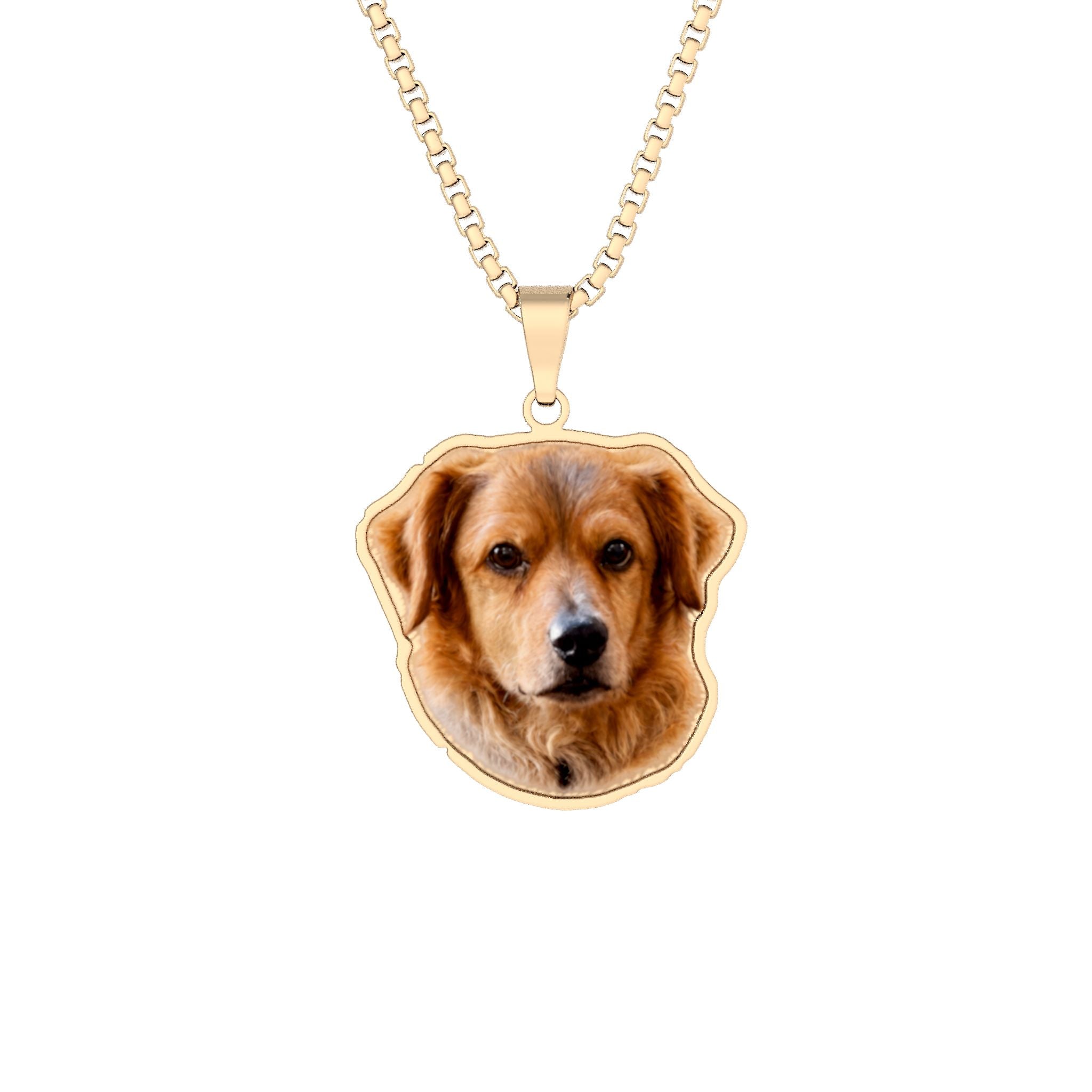 Photo-Cut Pet Pendant — Custom Engraved Pet Portrait Necklace